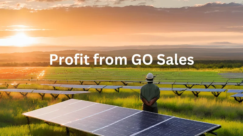 How to Make the Most Profit From Selling Guarantees of Origin? - Thumbnail