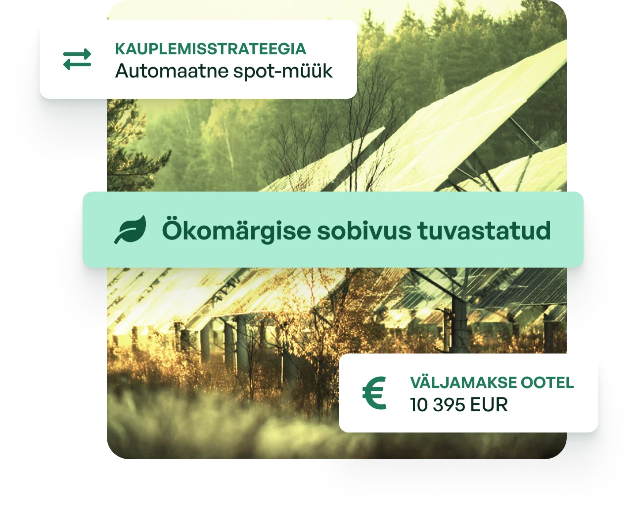 Soldera producer platform hero illustration