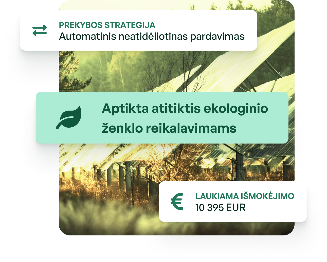 Soldera producer platform hero illustration