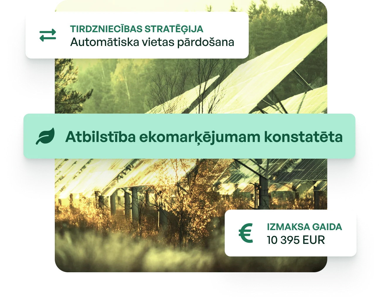 Soldera producer platform hero illustration