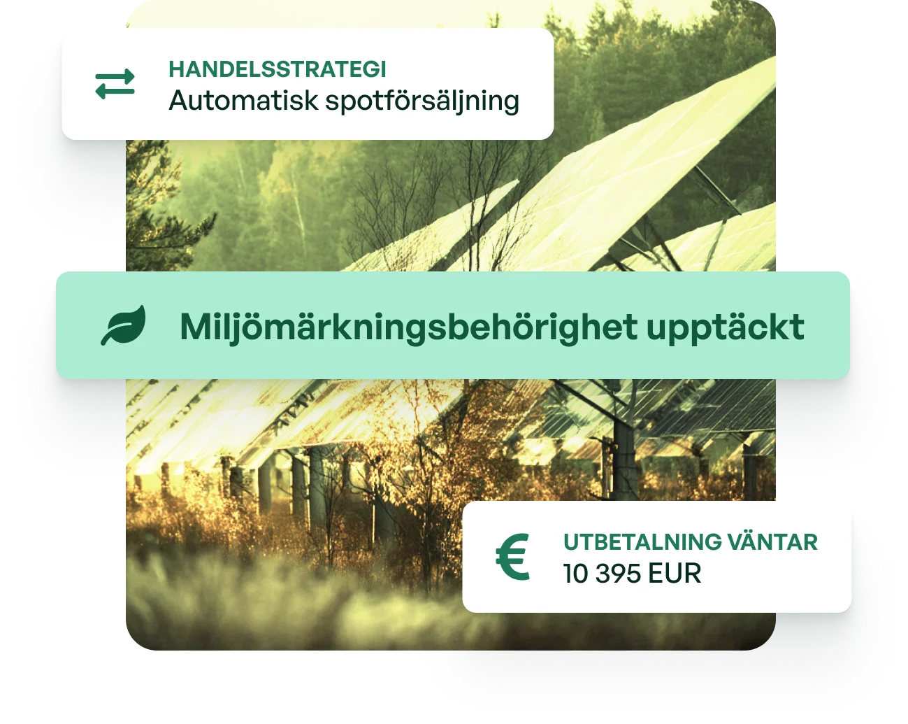 Soldera producer platform hero illustration